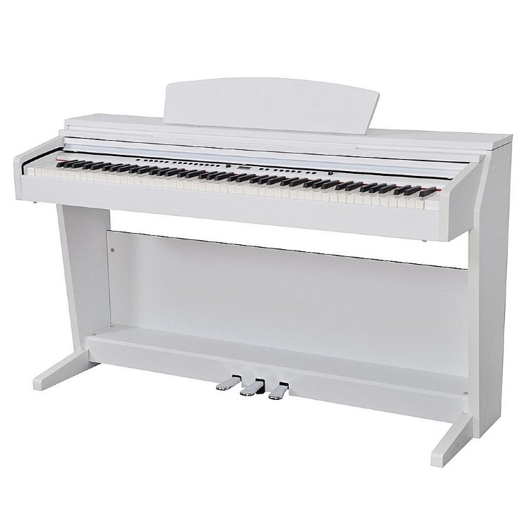 DP-10e WH